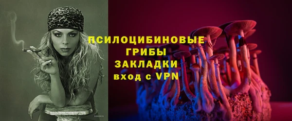 гидра Магас
