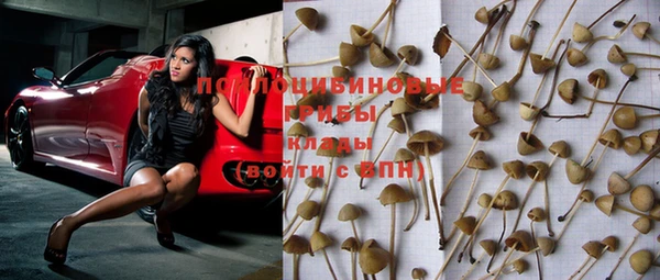 круглые Михайловск