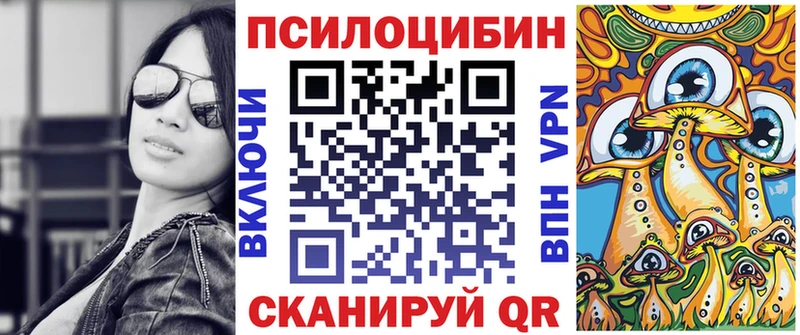 Галлюциногенные грибы Cubensis  Чегем 